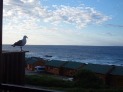 Storms River Mouth Rest Camp - Chalets