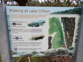 Lake Clifton - Thrombolites