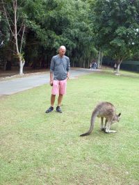 Australia Zoo - Kangaroo