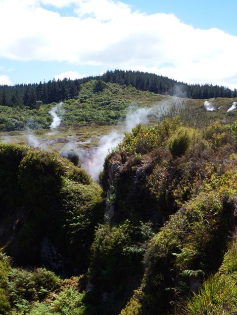 Craters of the Moon, NZ